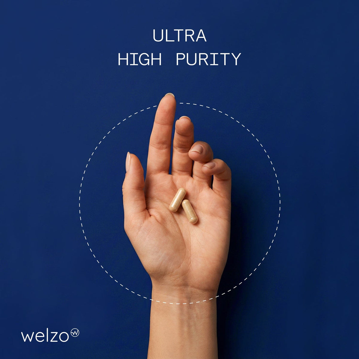 Welzo Ultra Purity NMN and TMG stack NAD+ methylation support – view 11