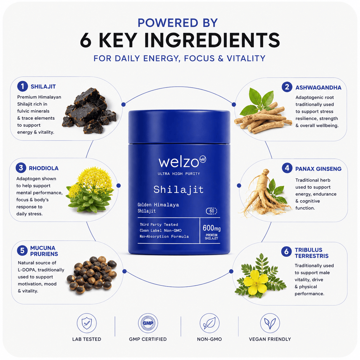 Welzo Ultra Purity shilajit ashwagandha rhodiola ginseng adaptogen capsules – view 2