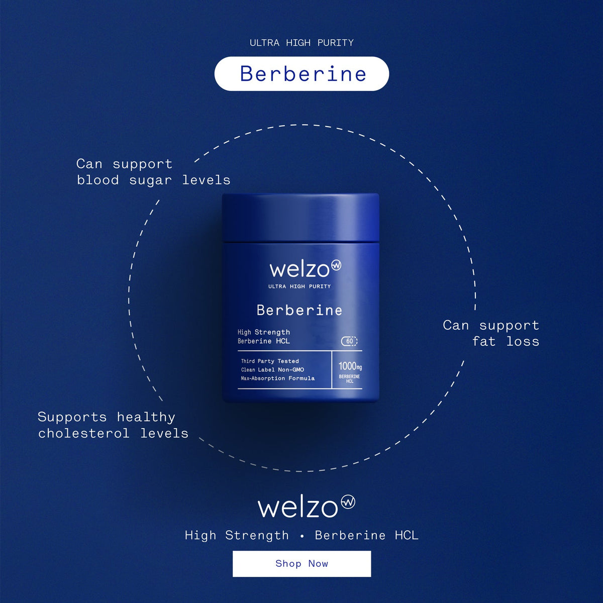 Welzo Ultra Purity Berberine with inulin metabolic support capsules – view 13