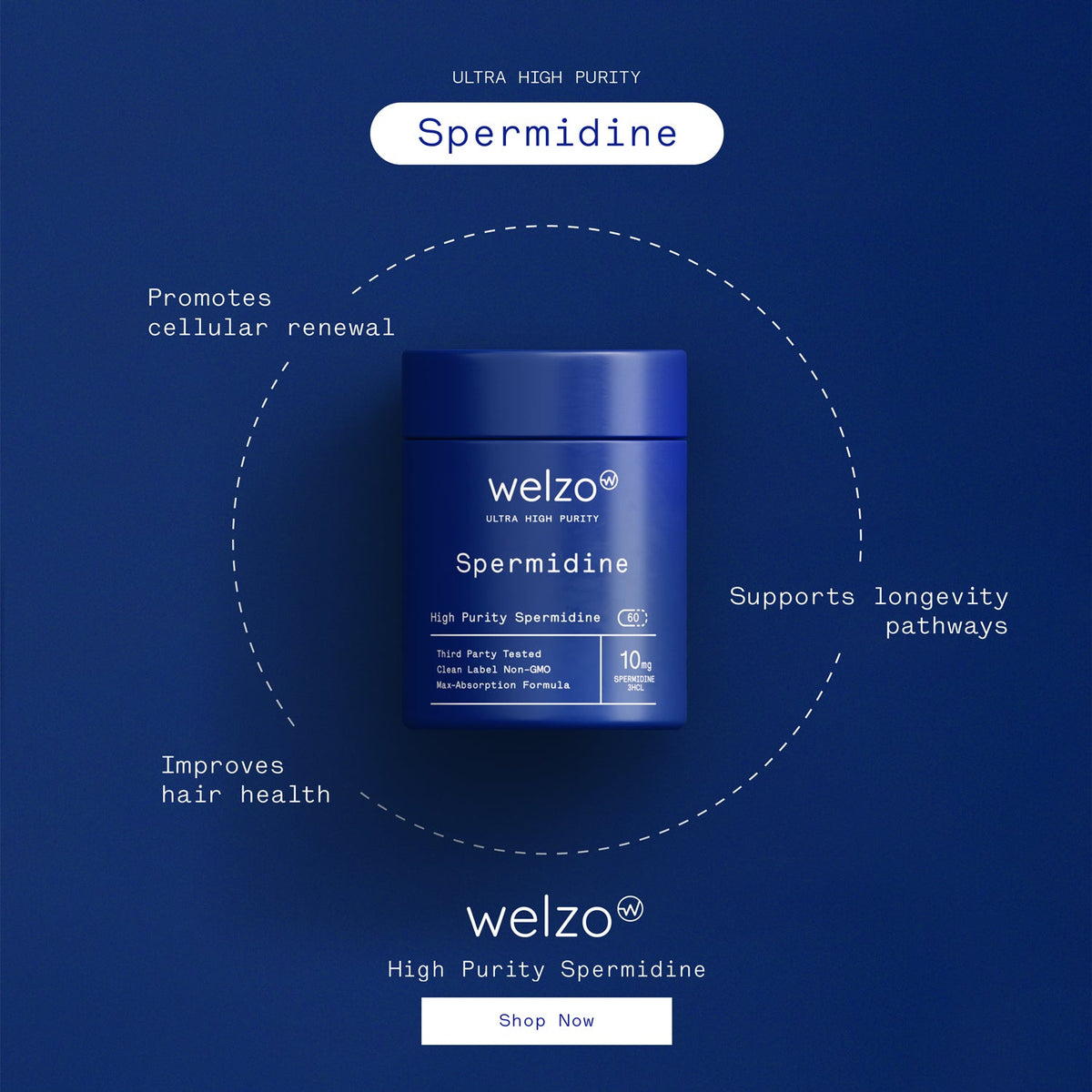 Welzo Ultra Purity Spermidine cellular renewal capsules – view 11