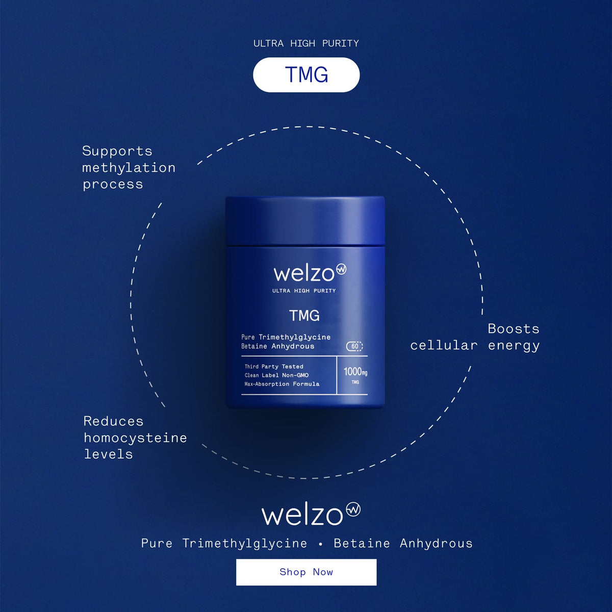 Welzo Ultra Purity Energy and Focus Stack NMN PQQ TMG – view 6