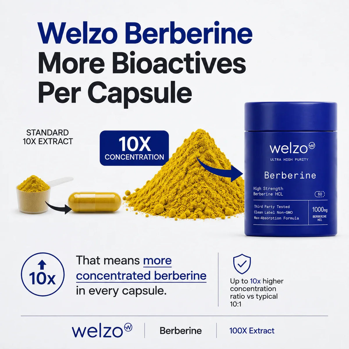 Welzo Ultra Purity Berberine with inulin metabolic support capsules – view 6