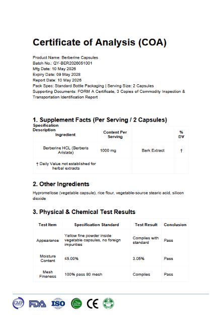 Welzo Ultra Purity Liver and Metabolism Stack berberine TUDCA citrus pectin – view 11