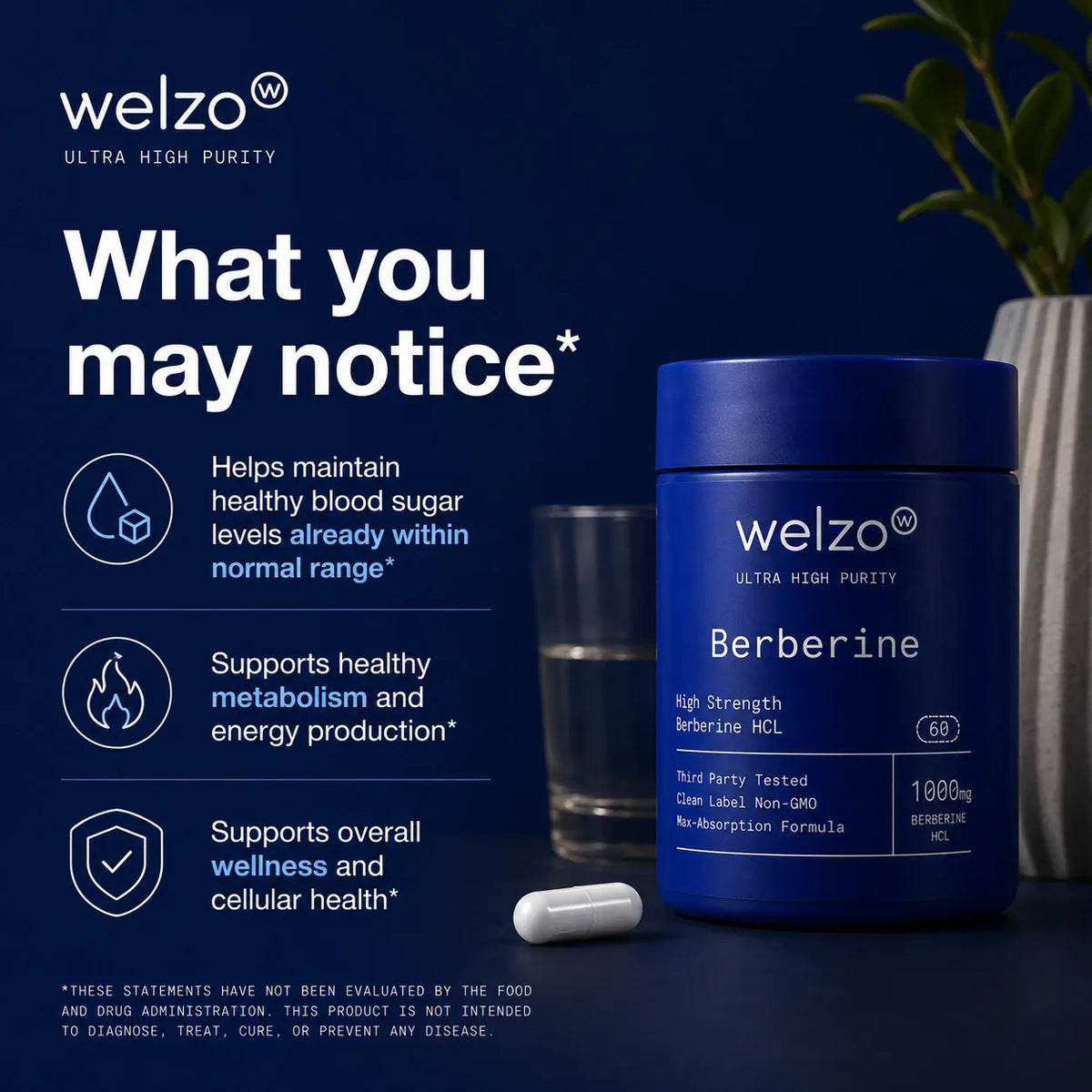 Welzo Ultra Purity Berberine with inulin metabolic support capsules – view 8