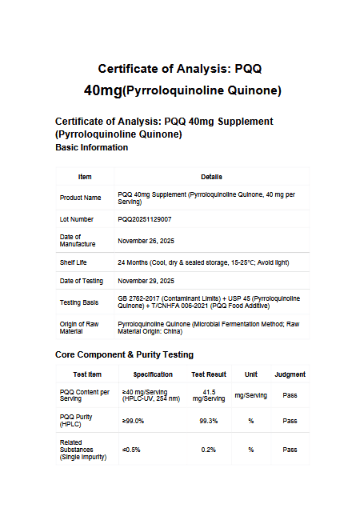 Welzo Ultra Purity Energy and Focus Stack NMN PQQ TMG – view 15