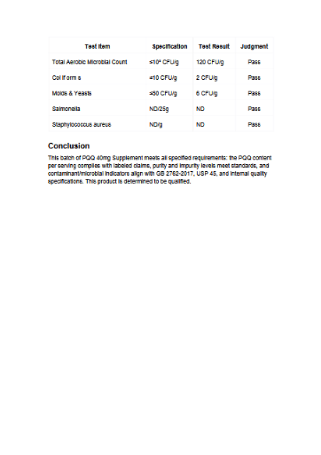 Welzo Ultra Purity Energy and Focus Stack NMN PQQ TMG – view 17