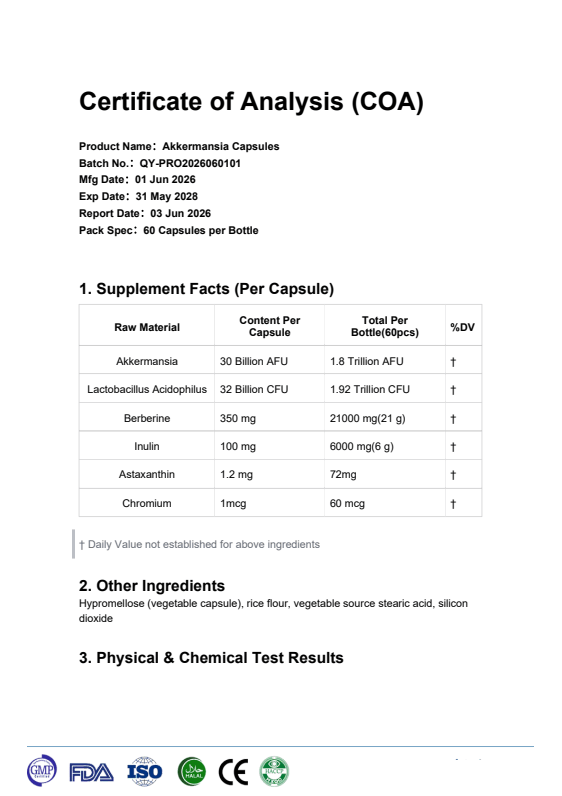 Welzo Ultra Purity Akkermansia 60 billion gut health probiotic capsules – view 9