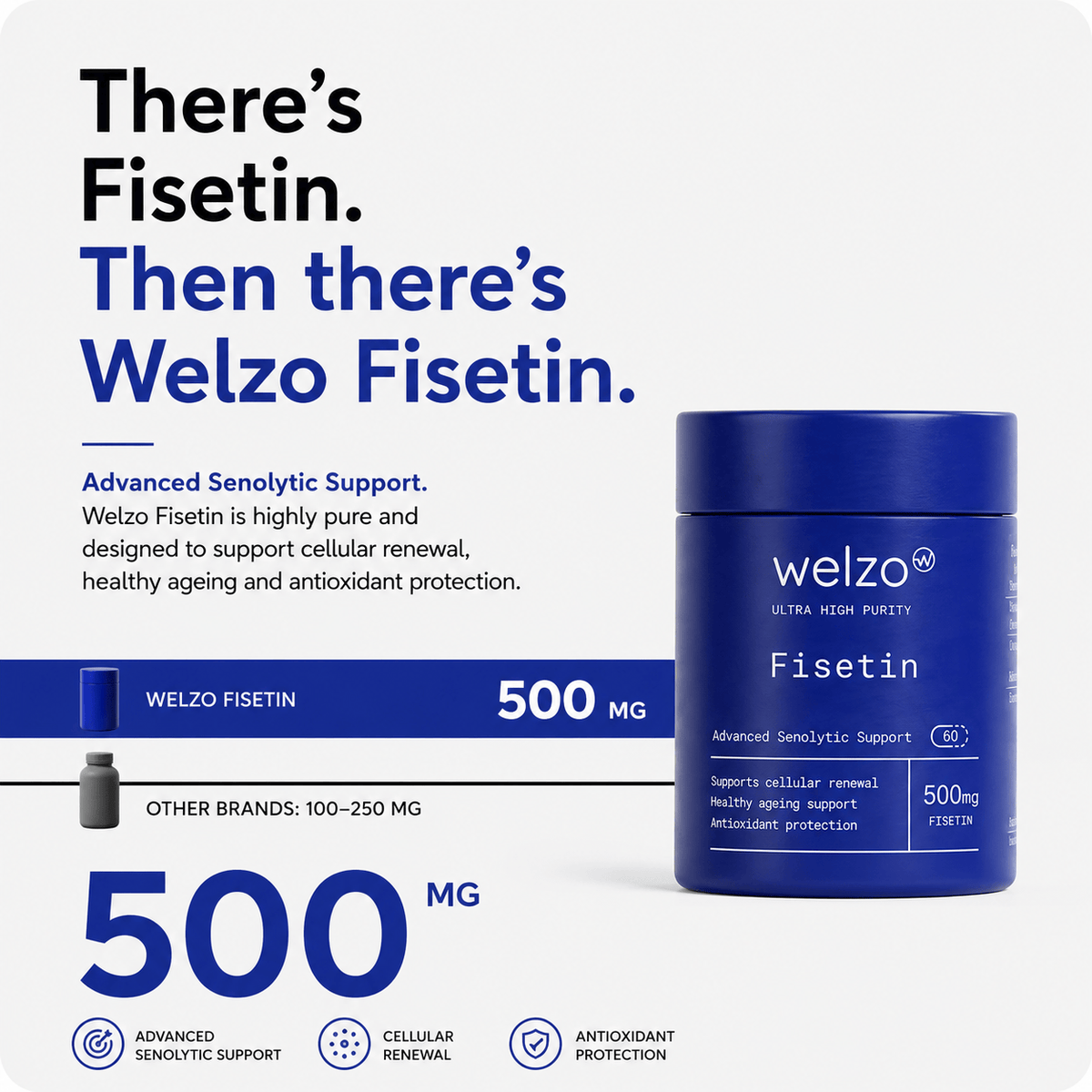 Welzo Ultra Purity Fisetin 500mg longevity flavonoid capsules – view 2