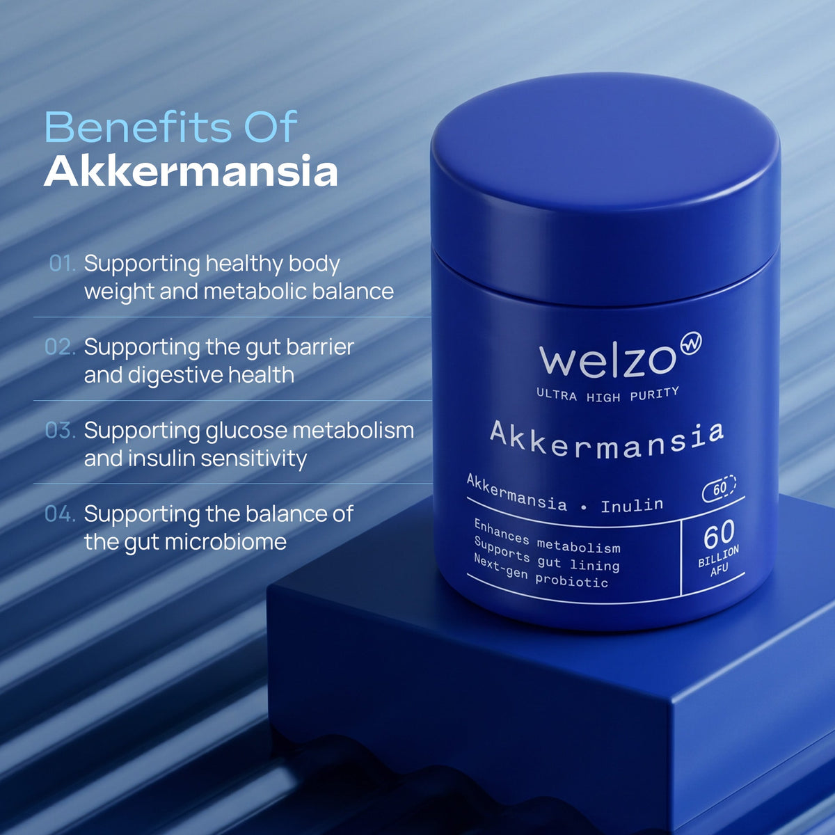 Welzo Ultra Purity Akkermansia 60 billion gut health probiotic capsules – view 13