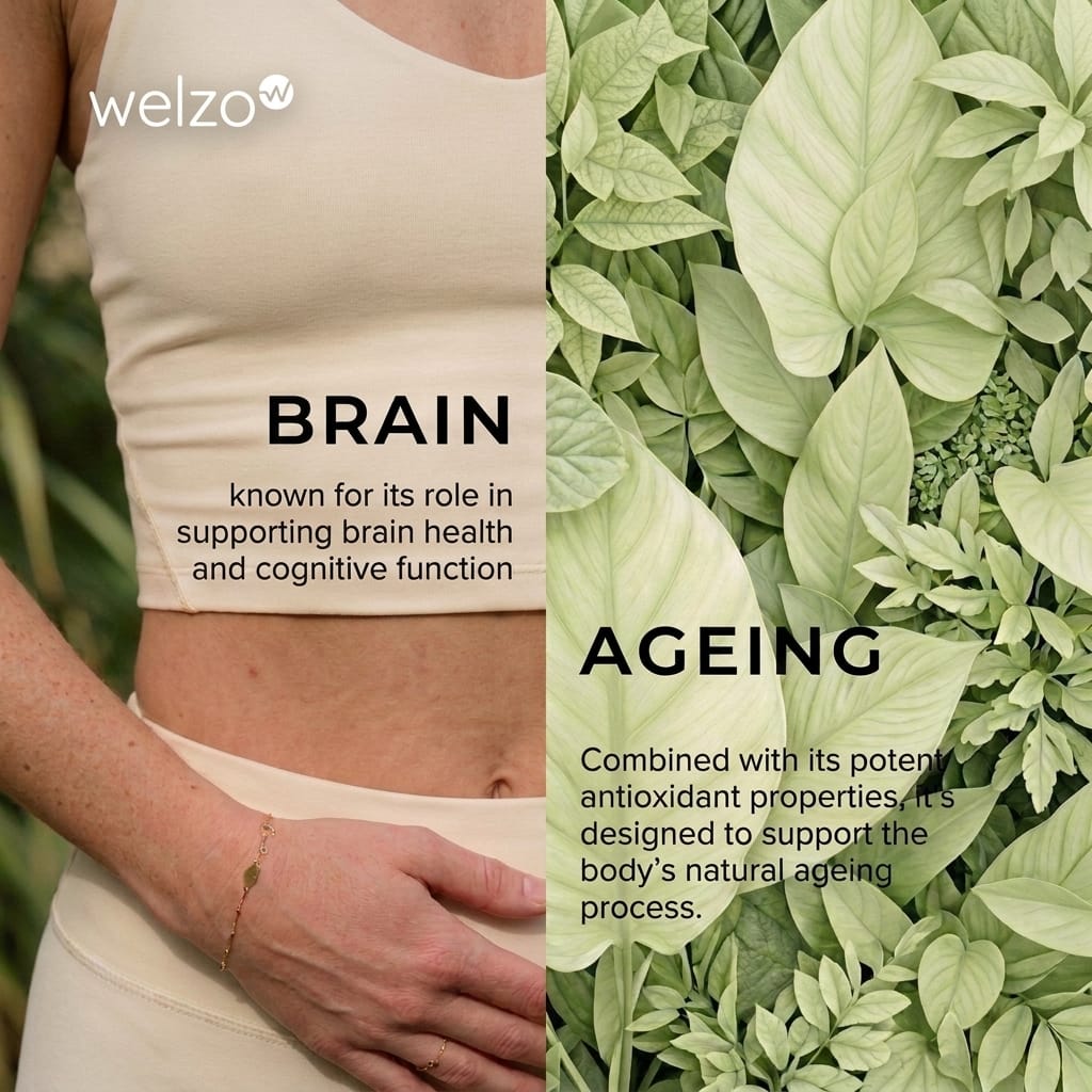 Welzo Ultra Purity Luteolin 500mg antioxidant flavonoid capsules – view 13